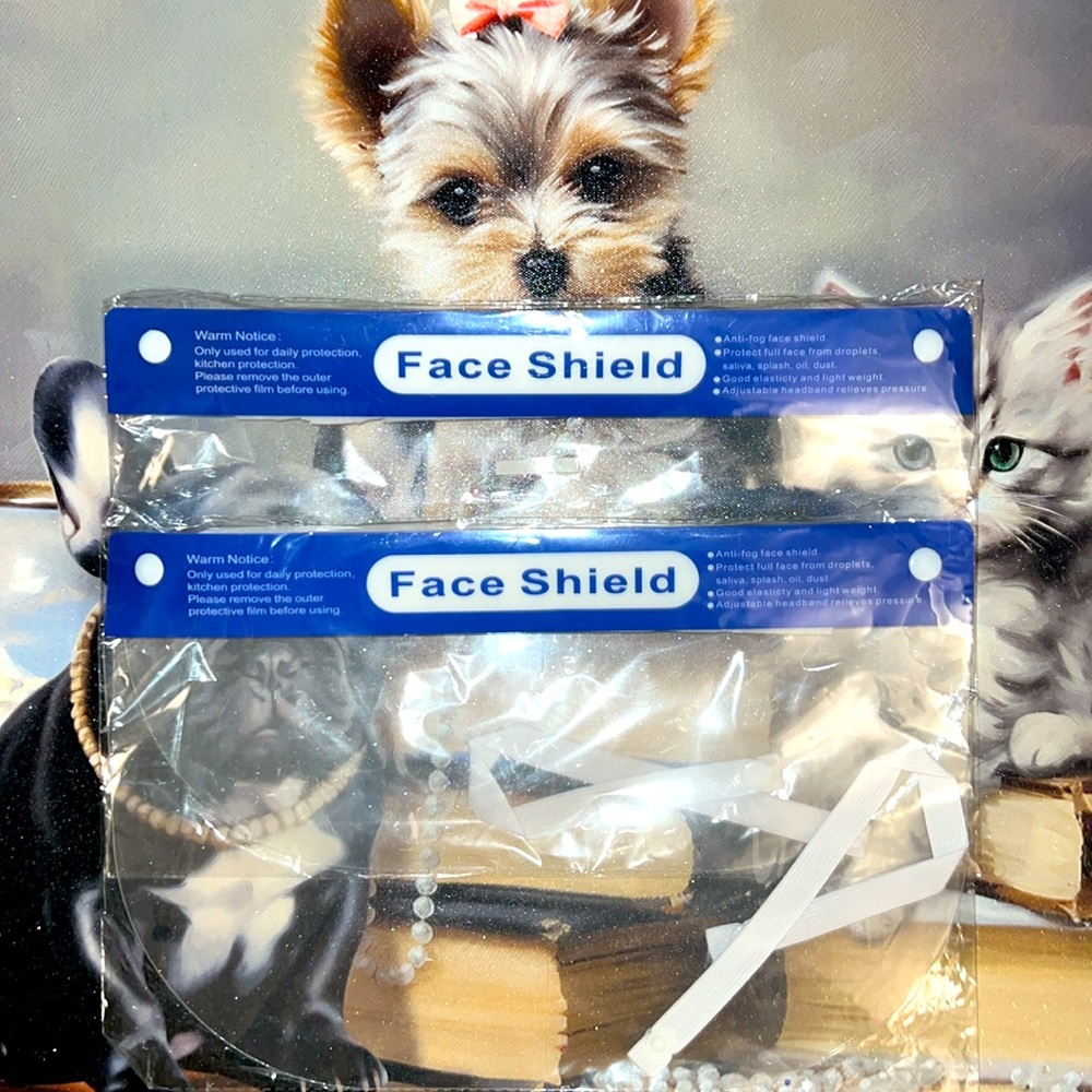 2 for $20 Face shields